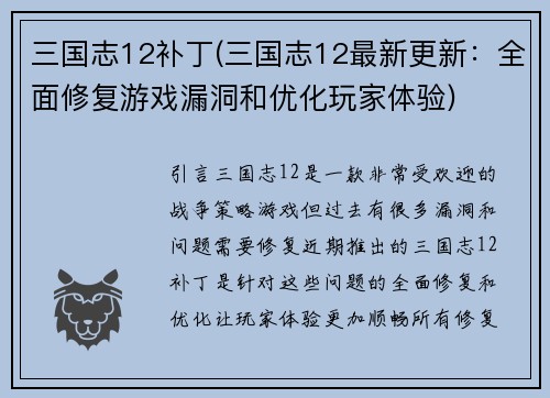 三国志12补丁(三国志12最新更新:全面修复游戏漏洞和优化玩家体验) 三国志12补丁(三国志12最新更新:全面修复游戏漏洞和优化玩家体验)